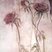 ESENCIA DE ROSAS - mixta sobre lienzo 65 x 50cm